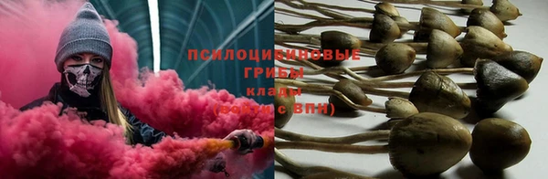 mdpv Баксан